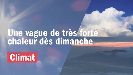 Les températures attendues ces prochains jours sous abri