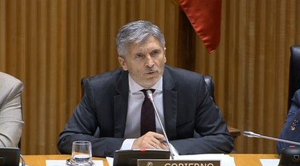 Marlaska anuncia que actualizará el permiso por puntos