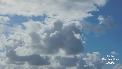 Calm Collective - Mindful Happiness