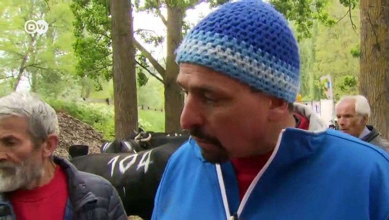 Schweiz: Kuhkämpfe mit Tradition | Fokus Europa