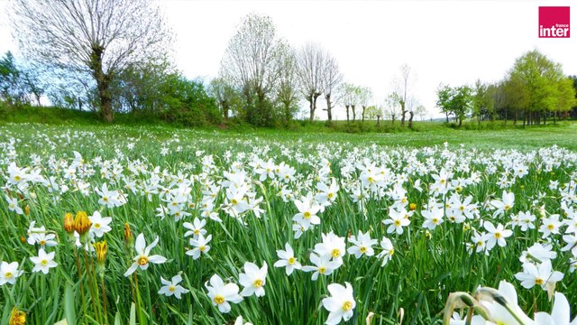 Interception - Narcisse, la quête de l'absolu(e)