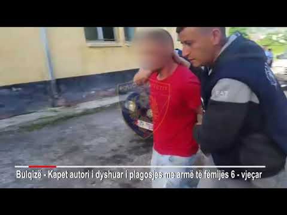 Plagosja e 6-vjecarit, arrestohet autori