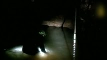 Continúa la búsqueda desesperada de los 12 niños desaparecidos en una cueva de Tailandia