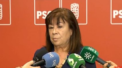 Narbona pide una televisión pública alejada de la "politización"