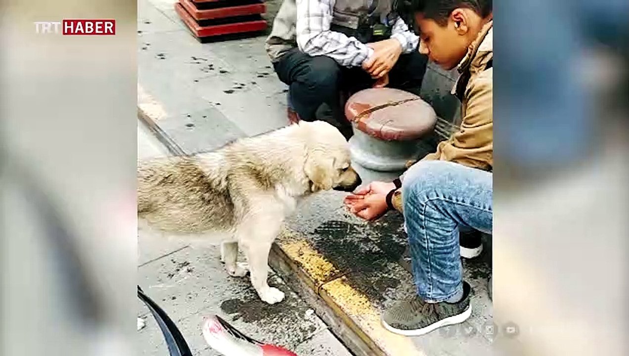 Yaşı küçük ama yüreği kocaman çocuk