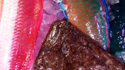 Japanese Street Food - HALIBUT SASHIMI Flounder Okinawa Seafood Japan