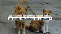 Comment font les personnes non-voyantes pour décrire les animaux qu'elles n'ont jamais vus ?