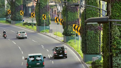 Mexico City’s Vertical Gardens Are Making Waves