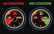 Baisse de testostérone :  comment se traduit-elle ?