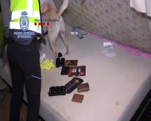13 detenidos por estafar más de 700.000€ con tarjetas clonadas