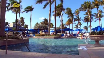 Dream Summer Job!  Grab Your Favorite Floatie And Travel The U.S. To Review Hotel Pools!