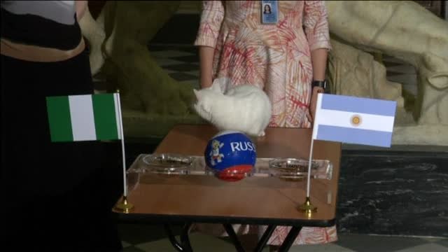 Argentina eliminada del Mundial según el gato Aquiles