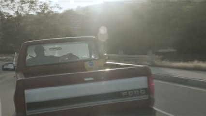 'The Lion's Share': Nueva iniciativa para proteger la vida salvaje