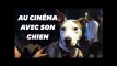 "Comme Des Bêtes 2" : 70 animaux au cinéma pour l&#39;avant-première
