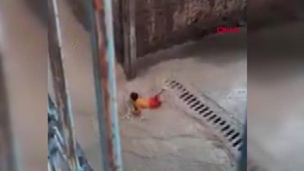 ŞANLIURFA Suriyeli çocuğun yağmur sevinci sosyal medyada ilgi gördü