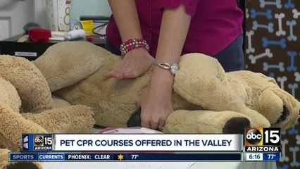 Do you know animal CPR? Course could save your pet's life