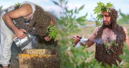 "Arı Adam" hedefi Guinness'e girmek!