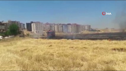 Siirt'te 100 dönümlük alan kül oldu