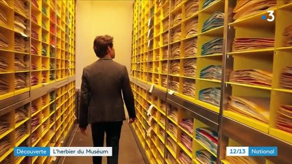 Paris : un herbier pour conserver les espèces menacées