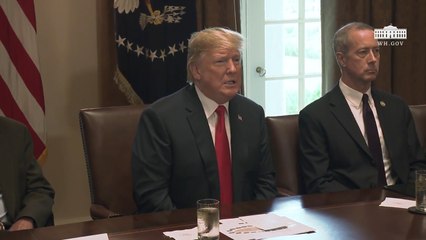 Trump promulga un decreto para no separar familias en la frontera
