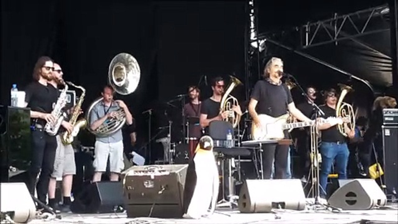 Les premières notes de Stephan Eicher place Kléber pour la fête de la musique