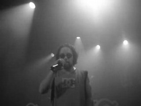 Les svinkels - Ca sert a rien (Genève - Octobre 07)