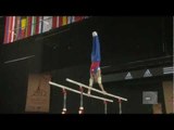 Emin GARIBOV (RUS), EC Montpellier 2012, parallel bars