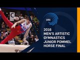 2016 Junior Pommel Horse final European Championships - Bern (SUI)