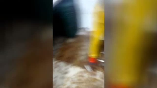 Pescadores de medusas