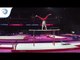 Glenn TREBING (GER) - 2018 Artistic Gymnastics Europeans, junior qualification parallel bars
