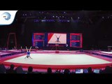 Eleftherios PETROUNIAS (GRE) - 2018 Artistic Gymnastics Europeans, qualification floor
