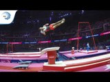 Ferhat ARICAN (TUR) - 2018 Artistic Gymnastics Europeans, qualification vault