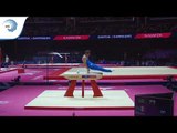 Ludovico EDALLI (ITA) - 2018 Artistic Gymnastics Europeans, qualification pommel horse