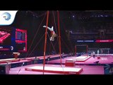 Noe Samuel SEIFERT (SUI) - 2018 Artistic Gymnastics Europeans, qualification rings