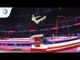 Tomas KUZMICKAS (LTU) - 2018 Artistic Gymnastics Europeans, qualification vault