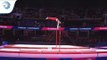 Matthias SCHWAB (AUT) - 2018 Artistic Gymnastics Europeans, qualification high bar
