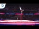 Ryan Macleod SHEPPARD (HUN) - 2018 Artistic Gymnastics Europeans, qualification high bar
