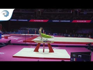 Adam STEELE (IRL) - 2018 Artistic Gymnastics Europeans, qualification pommel horse