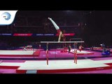 David VECSERNYES (HUN) - 2018 Artistic Gymnastics Europeans, qualification parallel bars