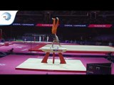 Bart DEURLOO (NED) - 2018 Artistic Gymnastics Europeans, qualification pommel horse