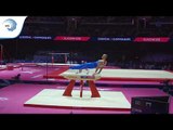 Robert SELIGMAN (CRO) - 2018 Artistic Gymnastics Europeans, qualification pommel horse