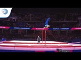 Anton KOVACEVIC (CRO) - 2018 Artistic Gymnastics Europeans, qualification high bar