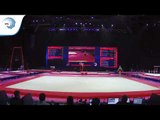Bram VERHOFSTAD (NED) - 2018 Artistic Gymnastics Europeans, qualification floor