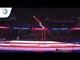 Daniel RADOVESNICKY (CZE) - 2018 Artistic Gymnastics Europeans, qualification high bar