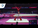 Ahmet ONDER (TUR) - 2018 Artistic Gymnastics Europeans, qualification pommel horse