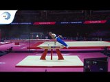 Julien GOBAUX (FRA) - 2018 Artistic Gymnastics Europeans, qualification pommel horse
