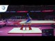 Max WHITLOCK (GBR) - 2018 Artistic Gymnastics Europeans, qualification pommel horse