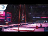 Vahagn DAVTYAN (ARM) - 2018 Artistic Gymnastics Europeans, qualification rings