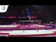 Joe FRASER (GBR) - 2018 Artistic Gymnastics Europeans, qualification parallel bars