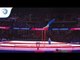 Petro PAKHNIUK (UKR) - 2018 Artistic Gymnastics Europeans, qualification high bar